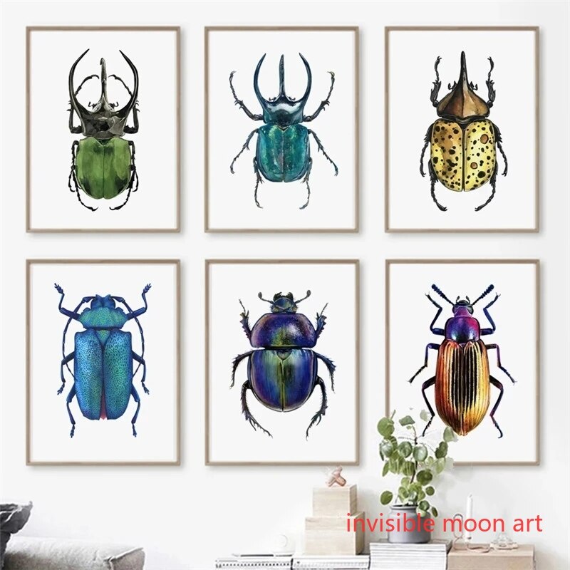 Vintage Collectible Posters - Vintage Insekten kunst bunte Käfer Sammlung