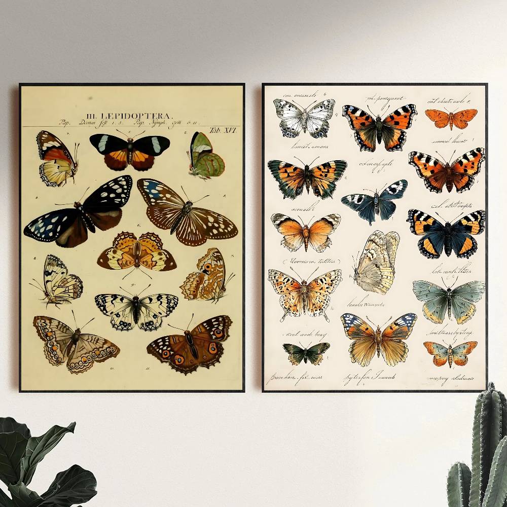 Vintage-Poster mit Schmetterli – Vintage Collectible Posters Bewertung und Preis
