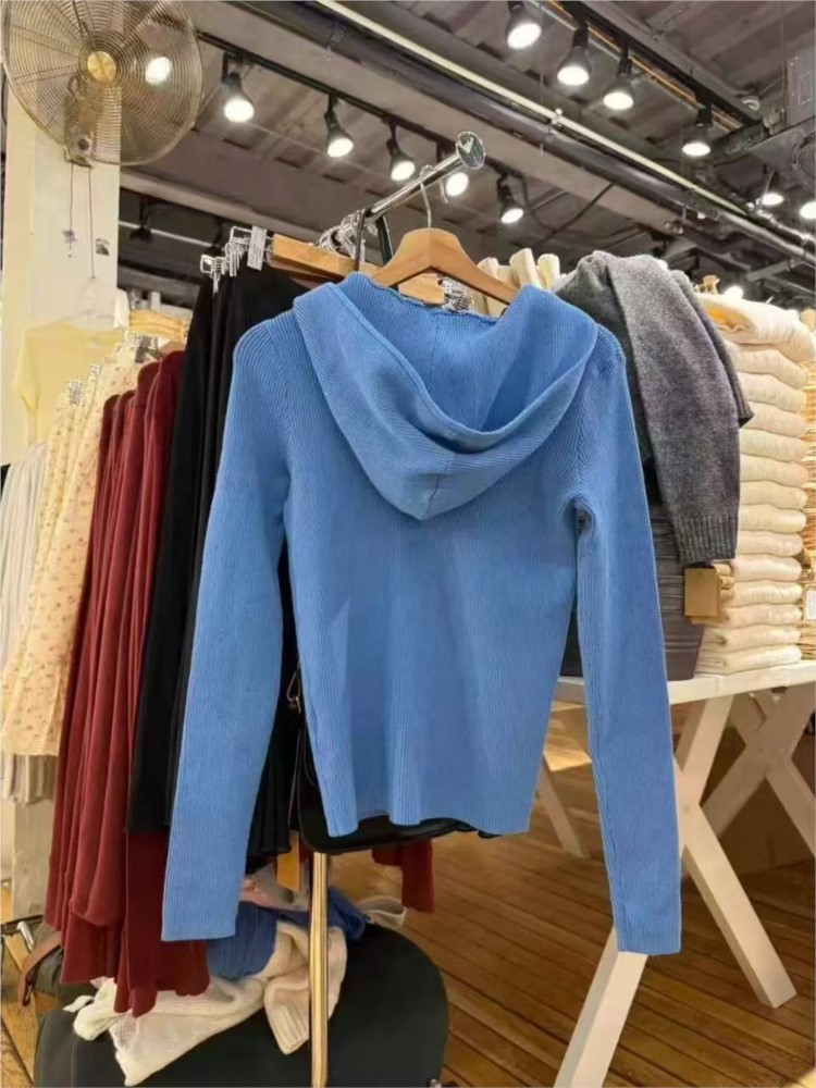 Blaue Strick-Hoodies für Damen – Vintage Zip Hoodie Bewertung und Preis
